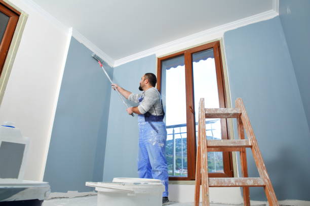 Best Fire-Damaged Drywall Repair  in Collins, MS