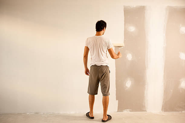 Best Drywall Crack Repair  in Collins, MS